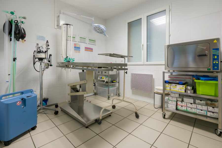 clinique-veto-lucioles-chirurgie-specialisee Clinique vétérinaire des Lucioles Sainte Tulle 04220 Manosque 04100 Chirurgie spécialisée