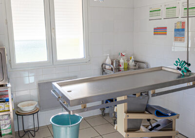 Clinique vétérinaire des Lucioles Sainte-Tulle 04220 Manosque 04100 Salle