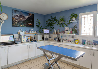 Clinique vétérinaire des Lucioles Sainte-Tulle 04220 Manosque 04100 Salle
