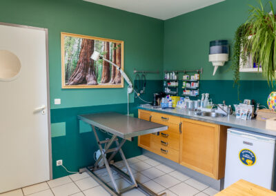 Clinique vétérinaire des Lucioles Sainte-Tulle 04220 Manosque 04100 Salle de consultation