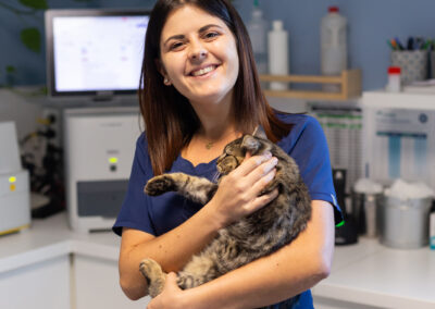 Clinique vétérinaire des Lucioles Sainte-Tulle 04220 Manosque 04100 Soin chat